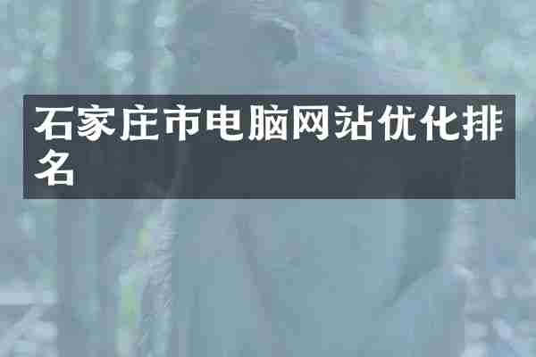 石家庄市电脑网站优化排名