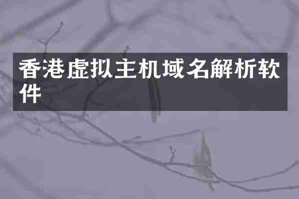 香港虚拟主机域名解析软件