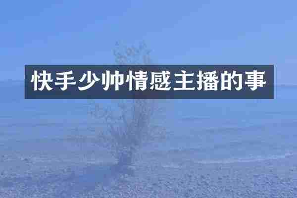 快手少帅情感主播的事