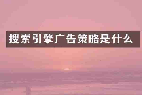 搜索引擎广告策略是什么