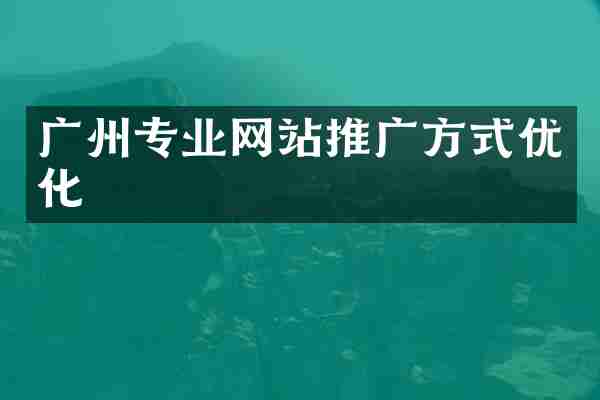 广州专业网站推广方式优化