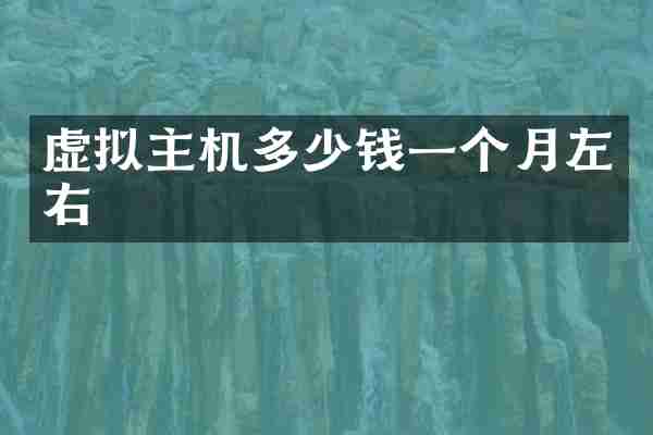 虚拟主机多少钱一个月左右