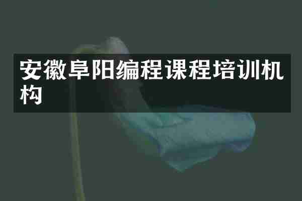 安徽阜阳编程课程培训机构