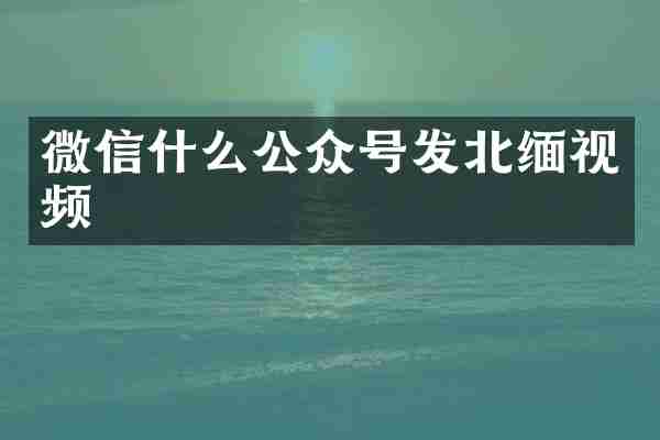 微信什么公众号发北缅视频