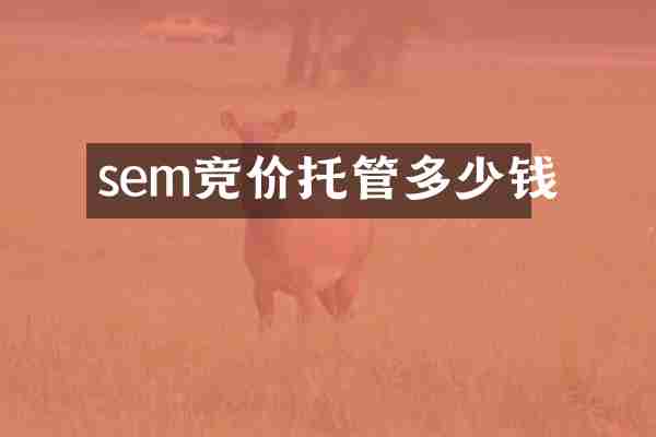 sem竞价托管多少钱