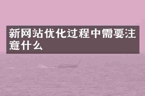 新网站优化过程中需要注意什么