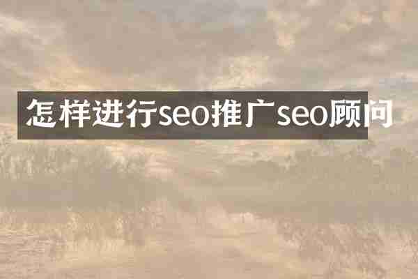怎样进行seo推广seo顾问