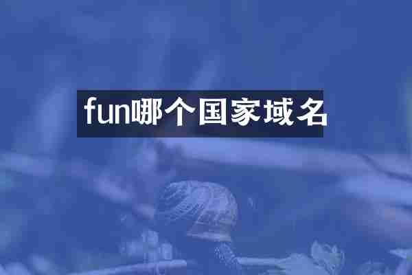 fun哪个国家域名