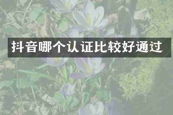 抖音哪个认证比较好通过