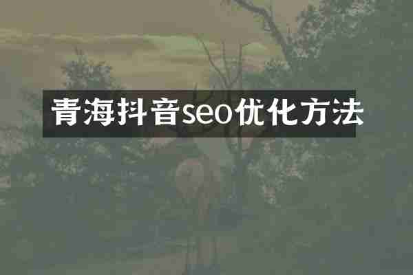 青海抖音seo优化方法