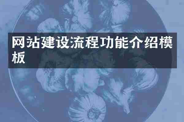 网站建设流程功能介绍模板