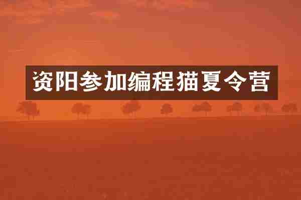 资阳参加编程猫夏令营
