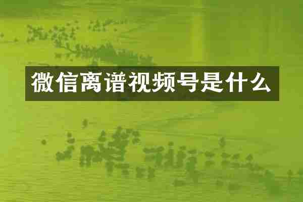 微信离谱视频号是什么