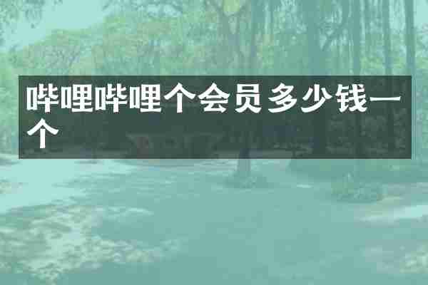 哔哩哔哩个会员多少钱一个