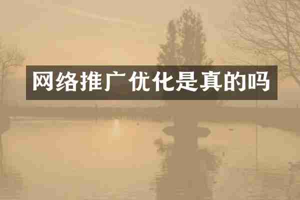网络推广优化是真的吗