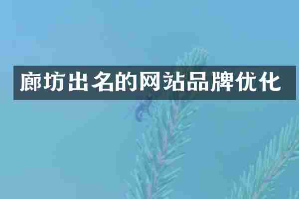 廊坊出名的网站品牌优化
