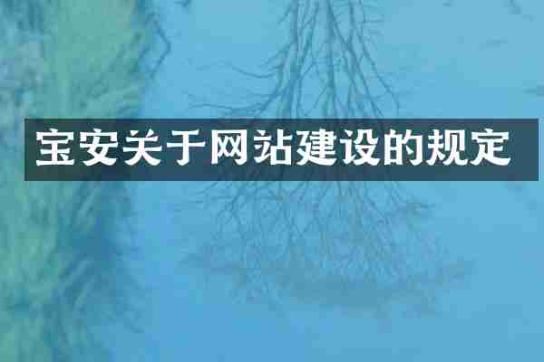 宝安关于网站建设的规定