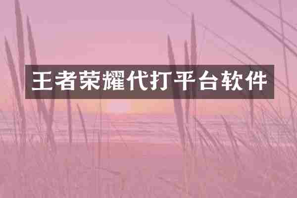 王者荣耀代打平台软件
