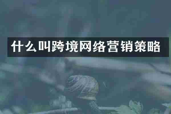 什么叫跨境网络营销策略