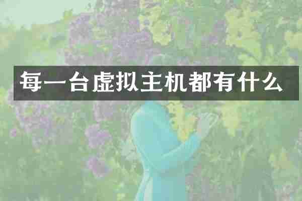 每一台虚拟主机都有什么