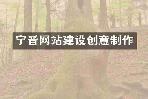 宁晋网站建设创意制作