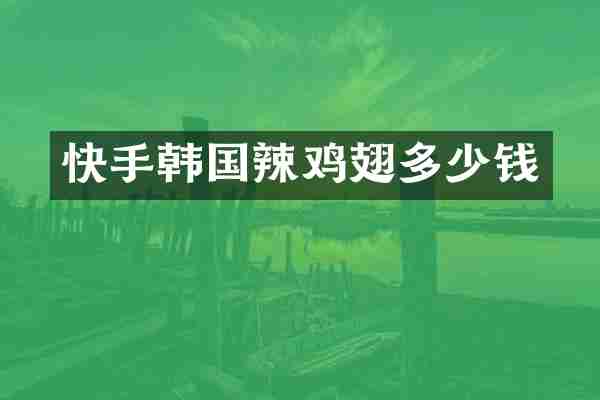 快手韩国辣鸡翅多少钱