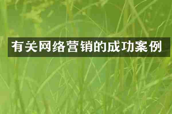 有关网络营销的成功案例