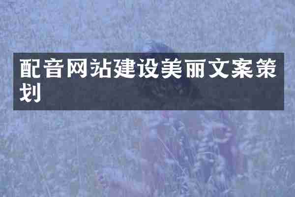 配音网站建设美丽文案策划