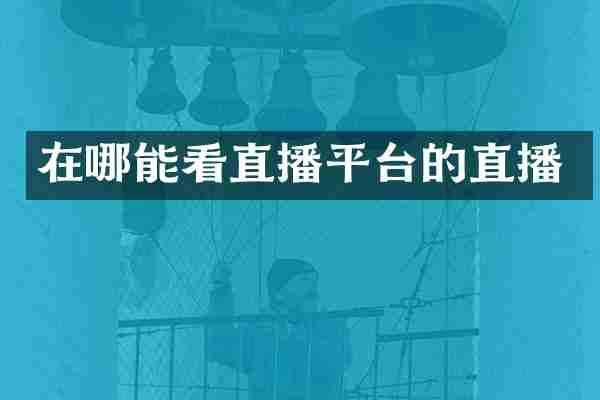 在哪能看直播平台的直播