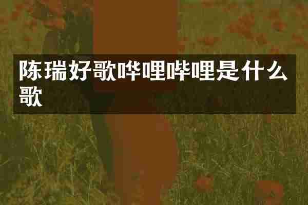 陈瑞好歌哗哩哔哩是什么歌
