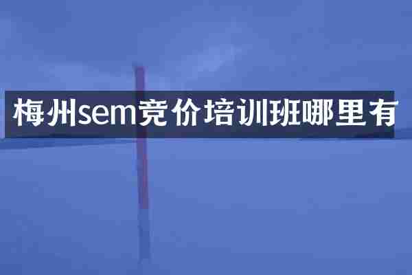 梅州sem竞价培训班哪里有