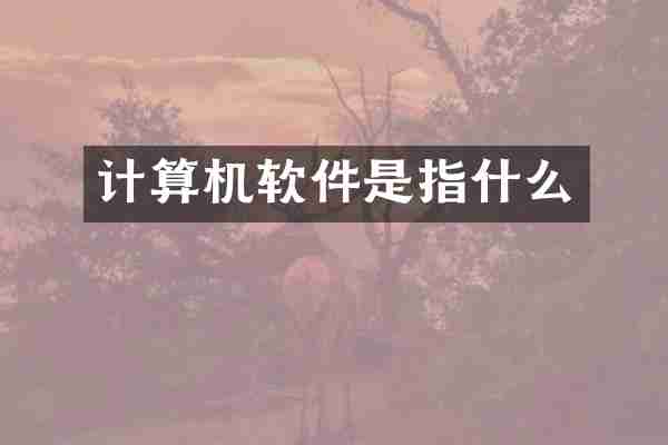 计算机软件是指什么