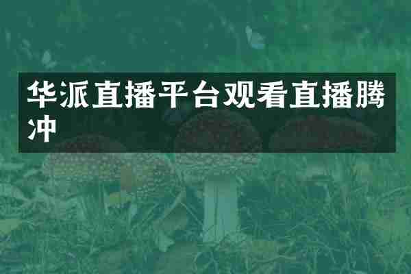 华派直播平台观看直播腾冲