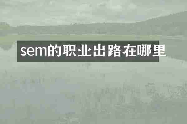 sem的职业出路在哪里