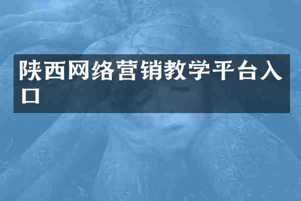 陕西网络营销教学平台入口