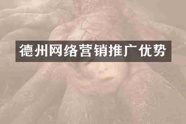德州网络营销推广优势