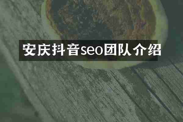 安庆抖音seo团队介绍