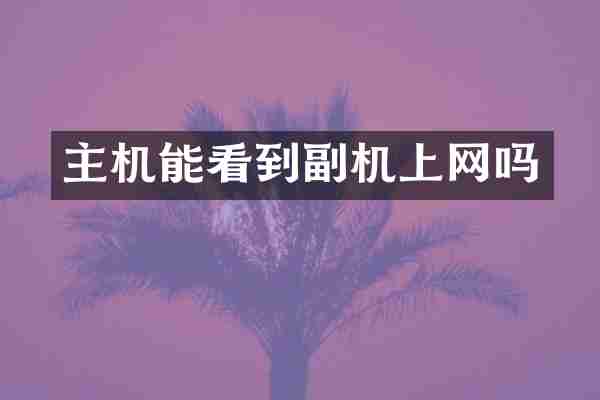 主机能看到副机上网吗