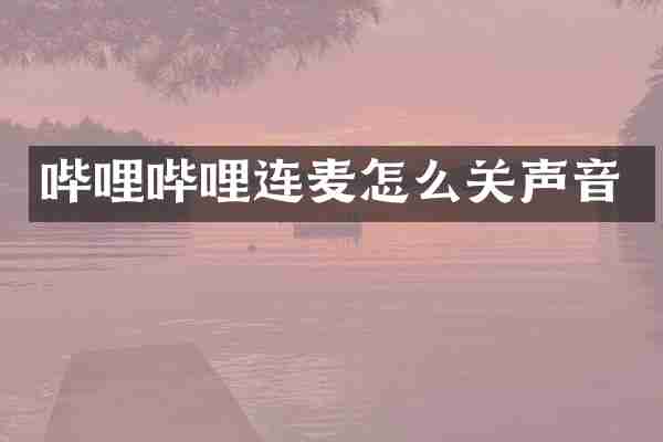 哔哩哔哩连麦怎么关声音