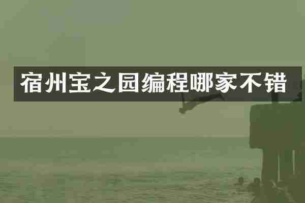 宿州宝之园编程哪家不错