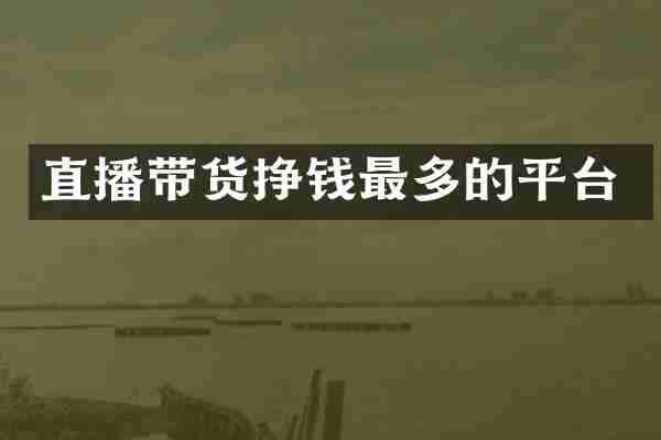 直播带货挣钱最多的平台