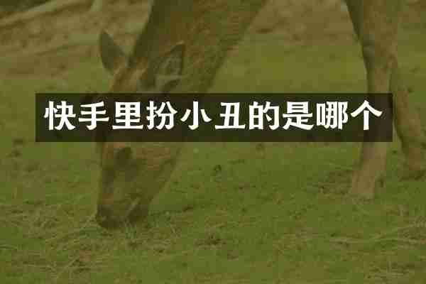 快手里扮小丑的是哪个