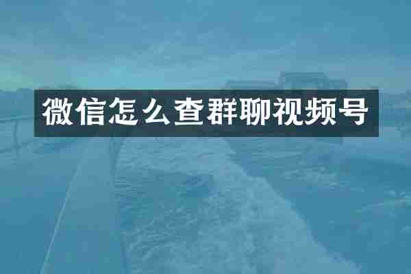 微信怎么查群聊视频号