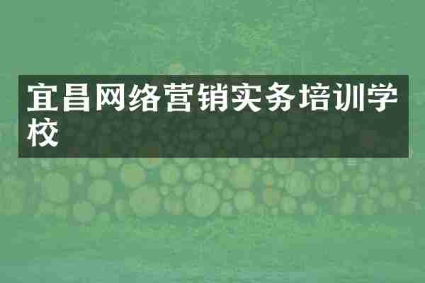 宜昌网络营销实务培训学校