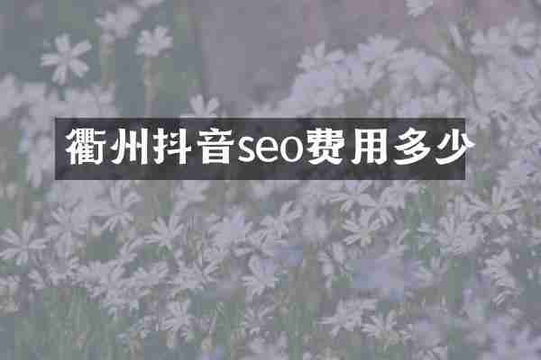 衢州抖音seo费用多少