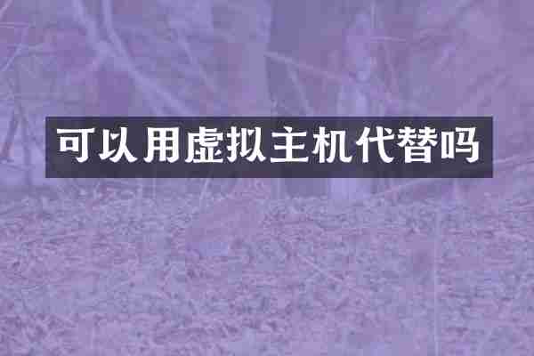 可以用虚拟主机代替吗