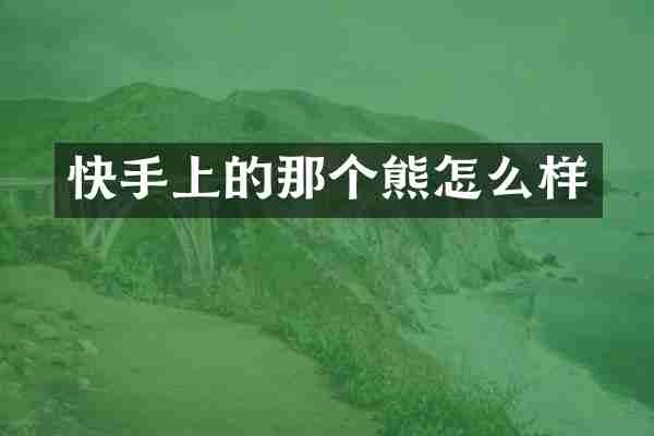 快手上的那个熊怎么样