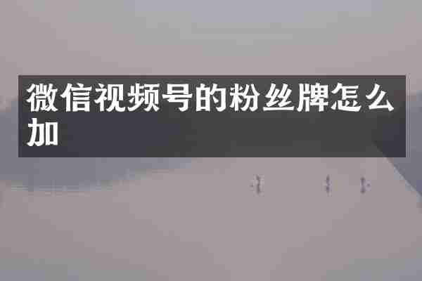 微信视频号的粉丝牌怎么加