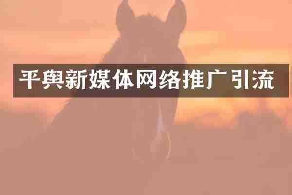 平舆新媒体网络推广引流