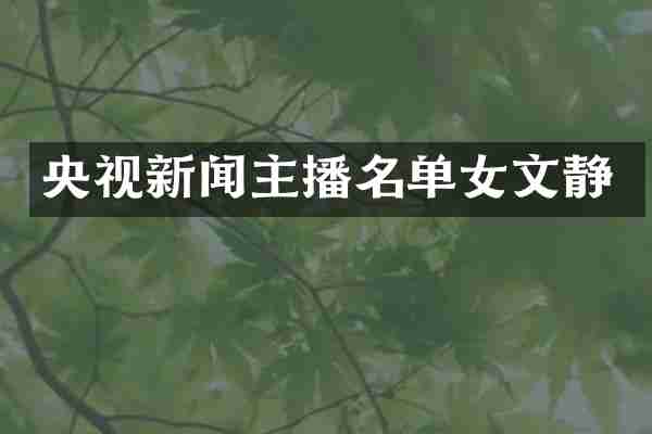 央视新闻主播名单女文静